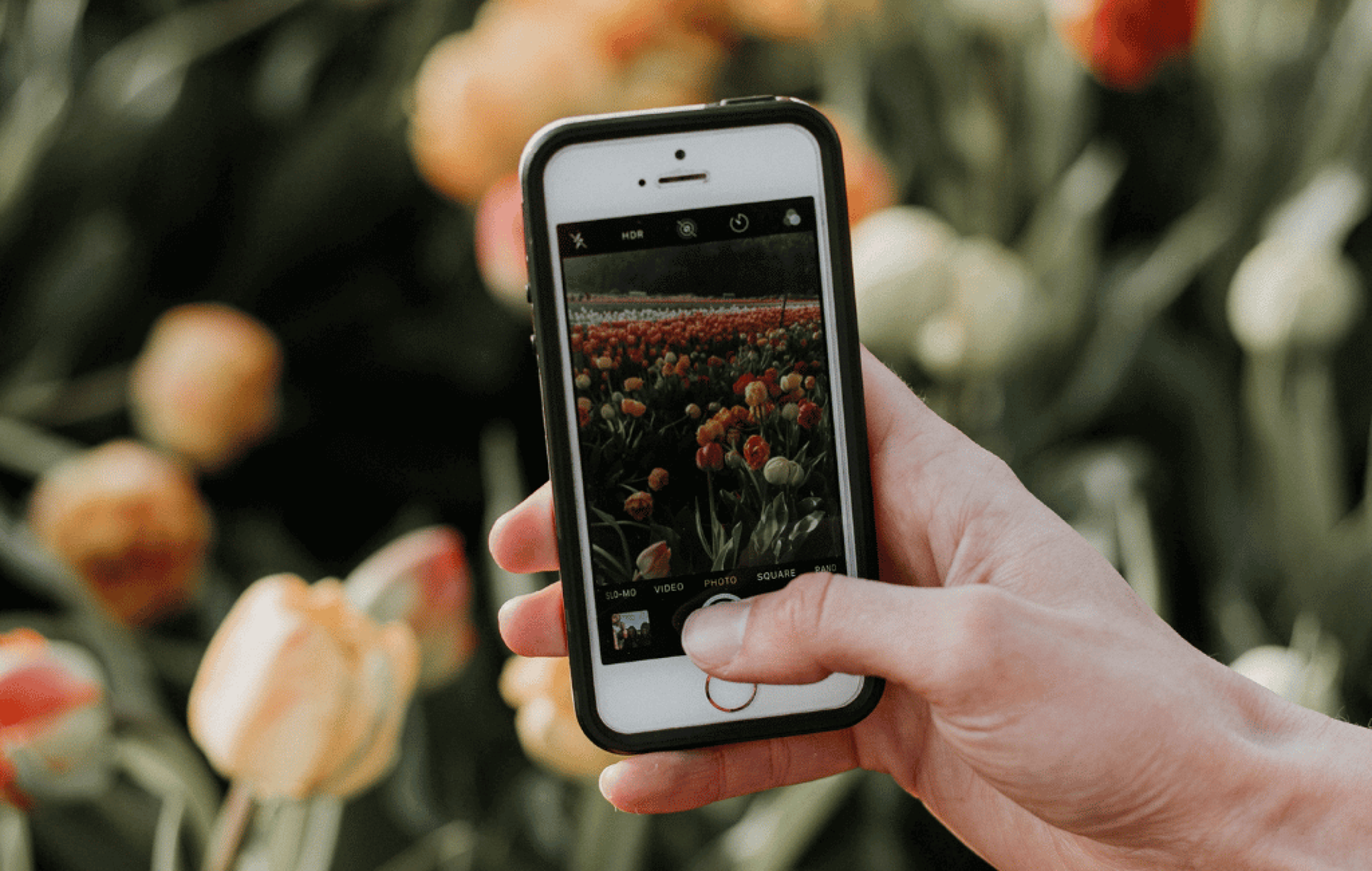 13 Ways to Get More Followers on Instagram in 2024